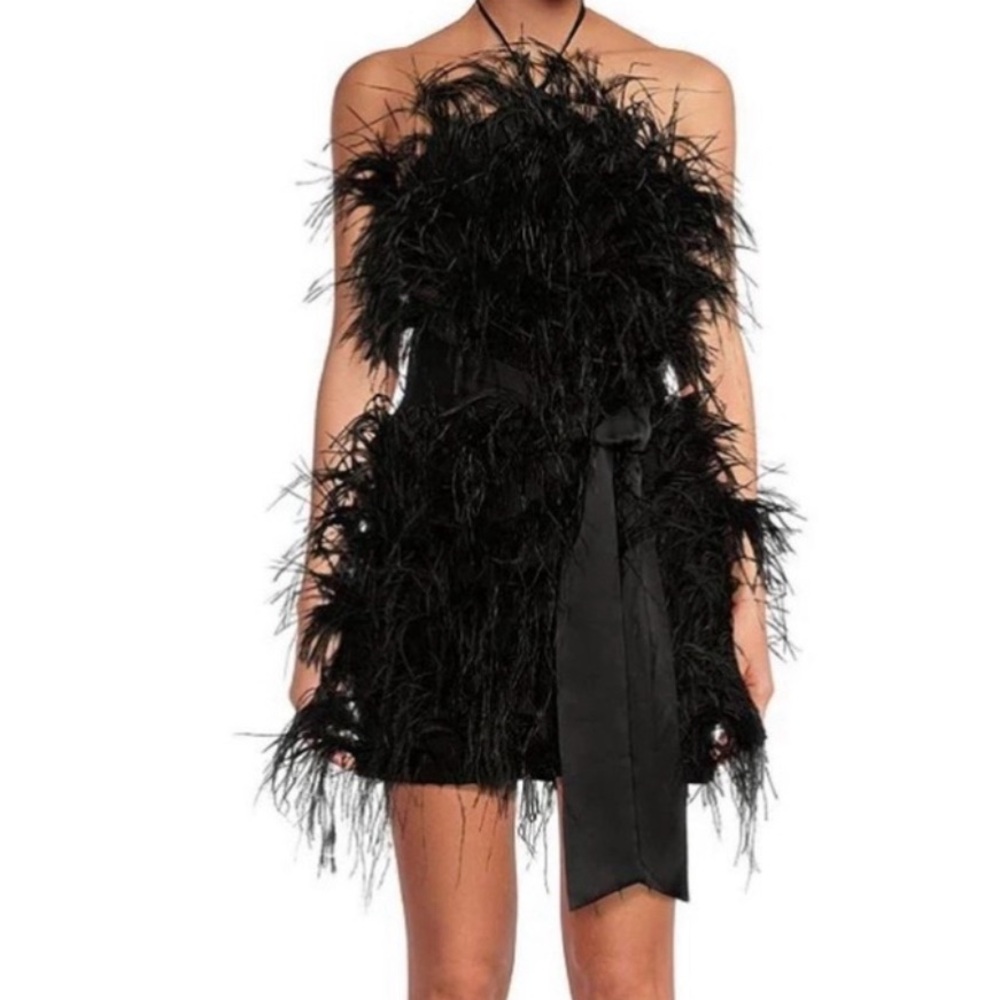Giani Bini Feather Dress